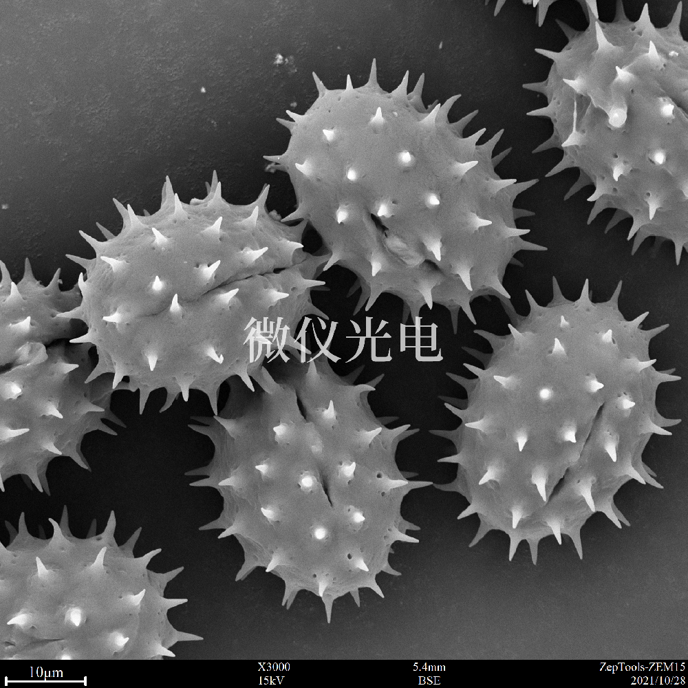 sem掃描電鏡的原理、組成、基本參數(shù)和應(yīng)用的介紹